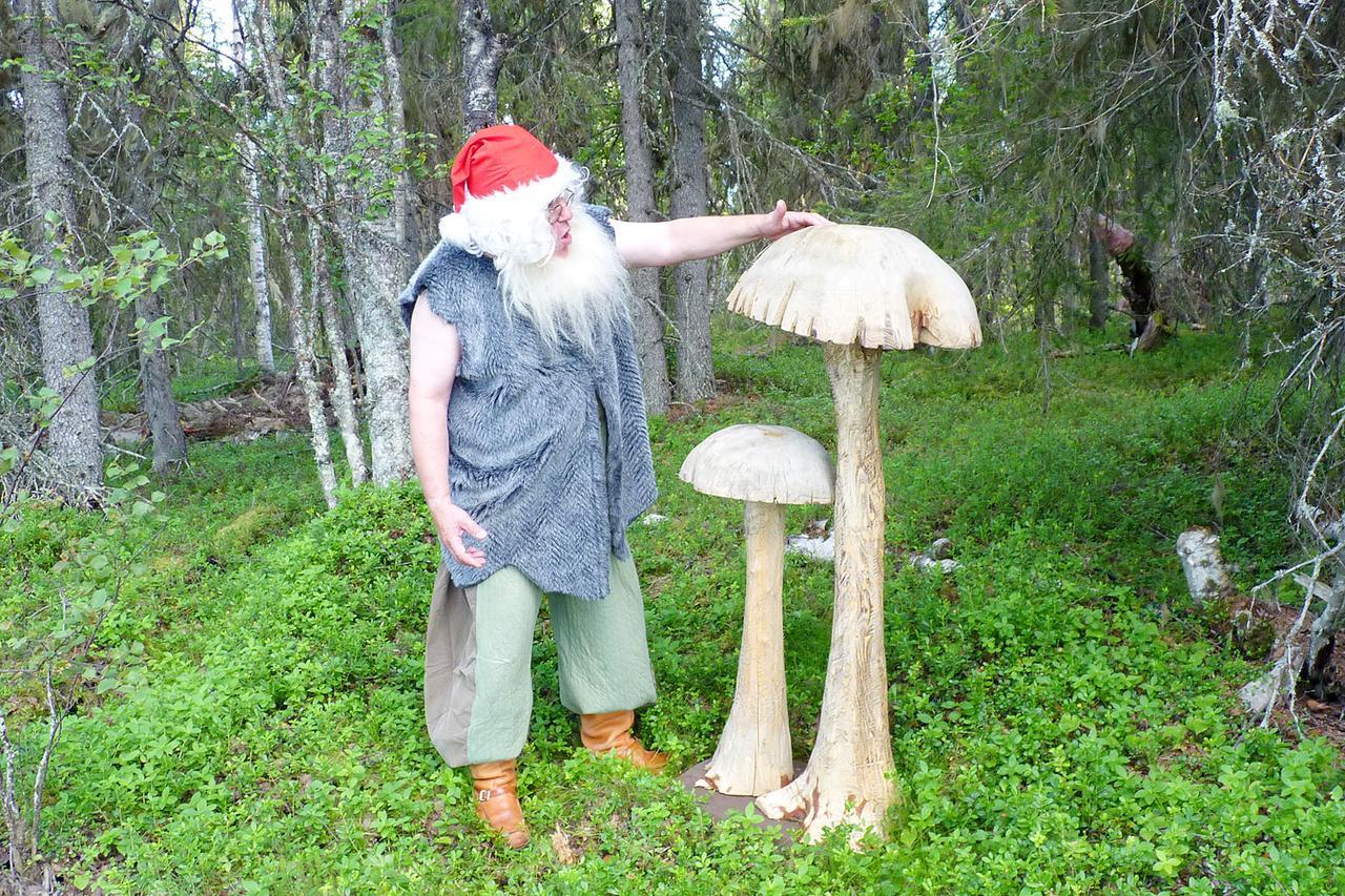 Elves Village Hotel Köngäs Exteriör bild